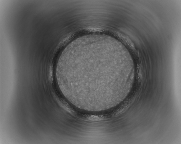 X0000115120494200911241350