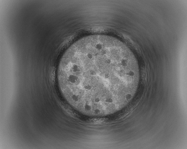 X0000115120495200911241350