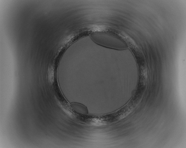 X0000115120496200911241350