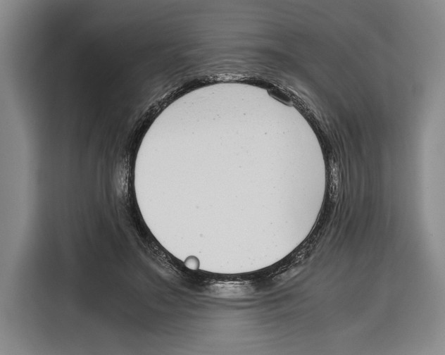 X0000115120499200911241350