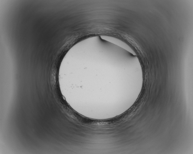 X0000115120501200911241350