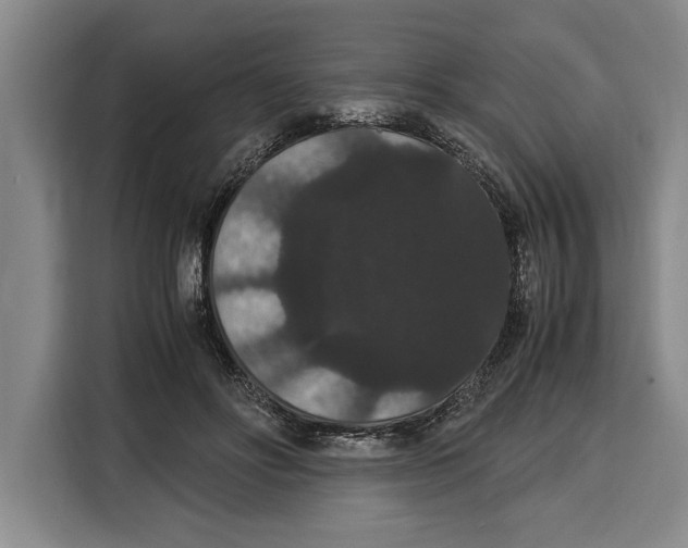 X0000115120502200911241350