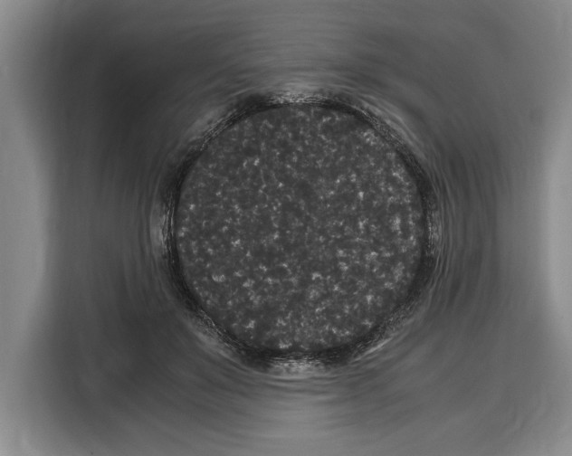 X0000115120503200911241350