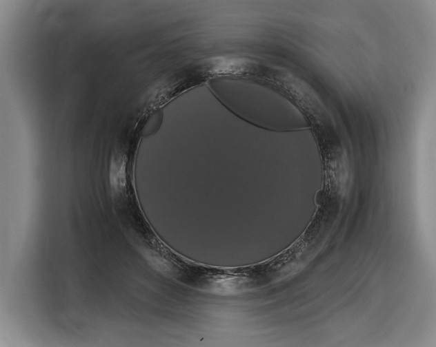 X0000115120504200911241350