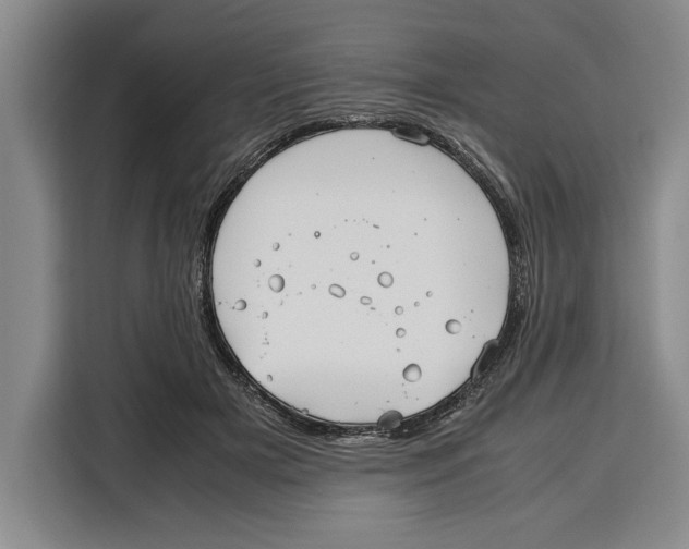 X0000115120505200911241350