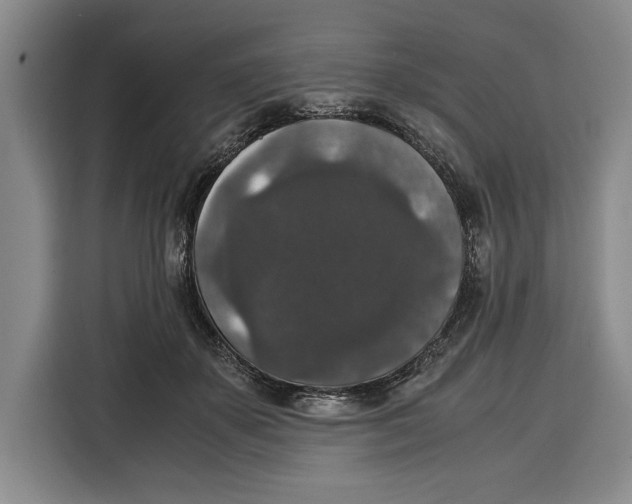 X0000115120507200911241350