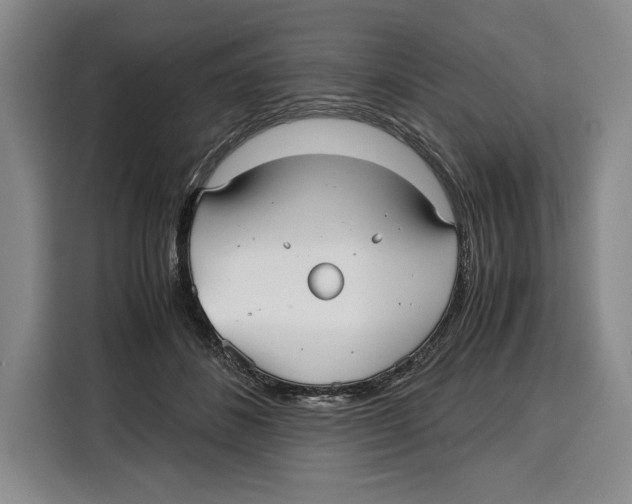 X0000115120508200911241350