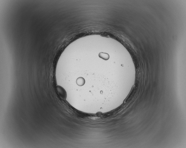 X0000115120509200911241350