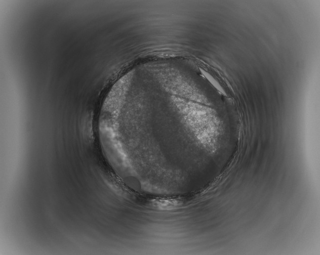 X0000115120512200911241350