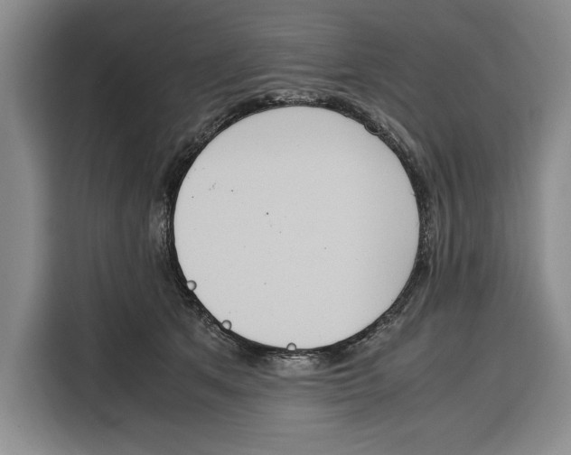 X0000115120513200911241350