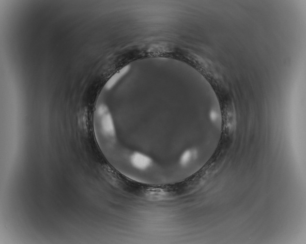 X0000115120519200911241350