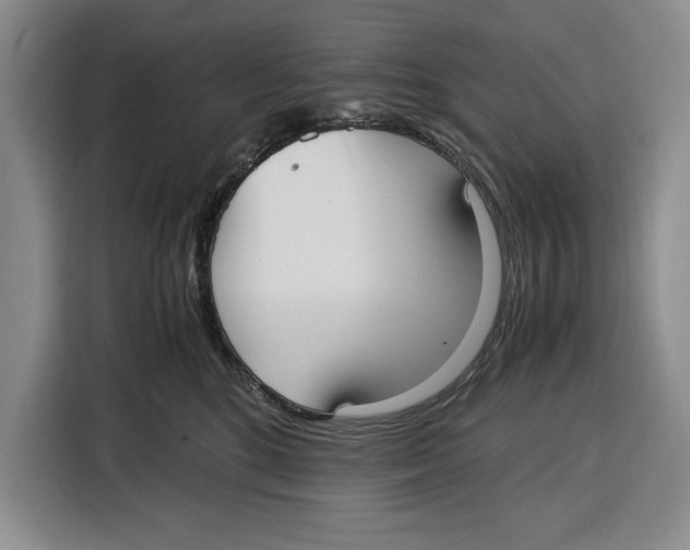 X0000115120520200911241350