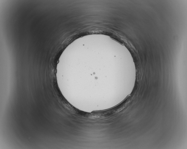 X0000115120521200911241350