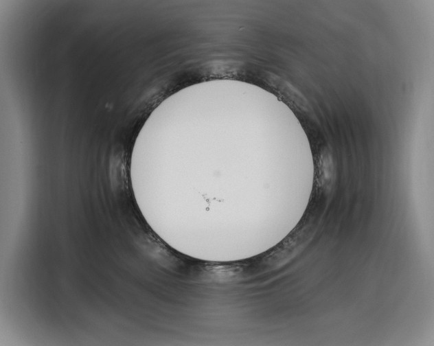 X0000115120522200911241350