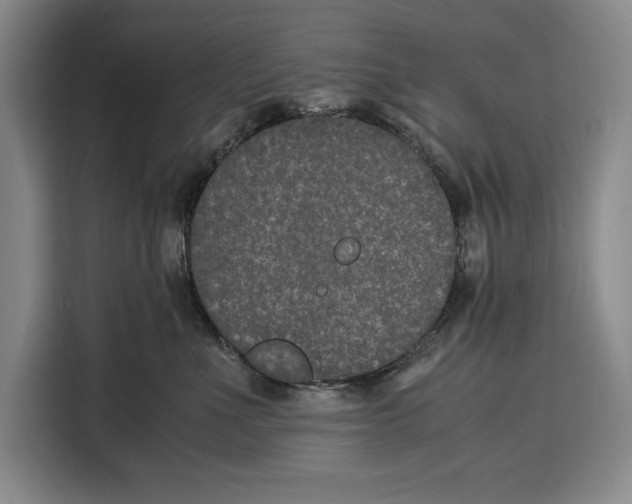 X0000115120523200911241350