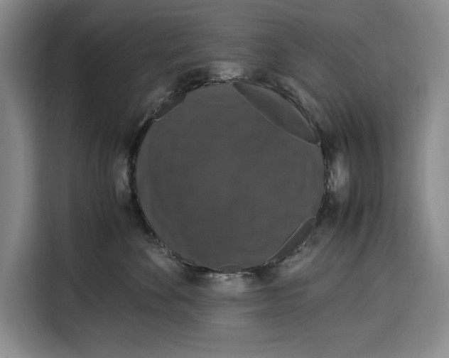 X0000115120524200911241350