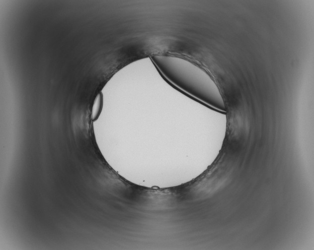 X0000115120525200911241350