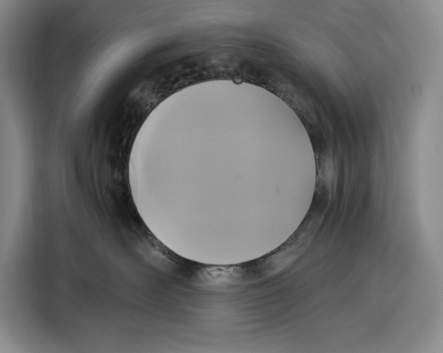 X0000115120526200911241350