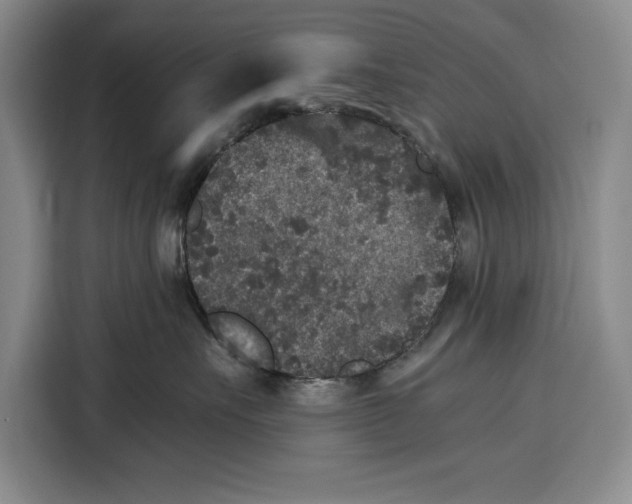 X0000115120527200911241350