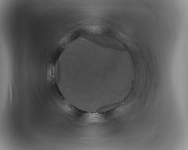 X0000115120528200911241350