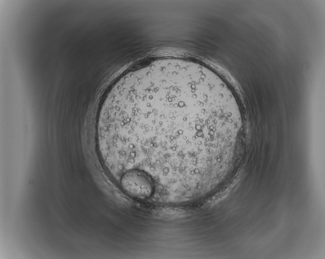 X0000115120529200911241349