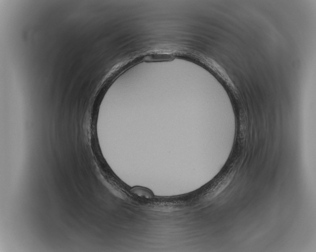 X0000115120530200911241349