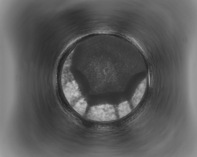 X0000115120531200911241349