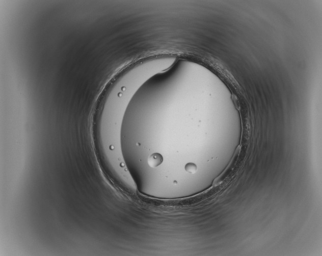 X0000115120534200911241349