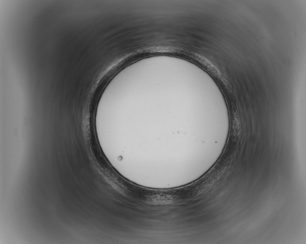 X0000115120535200911241349