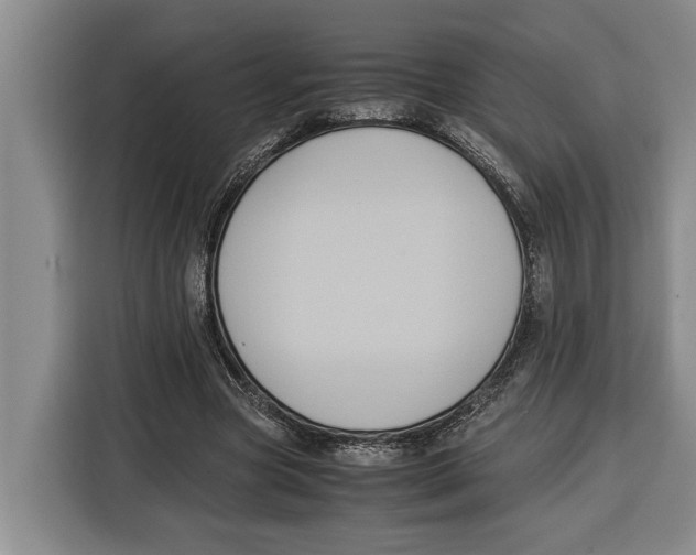 X0000115120537200911241349