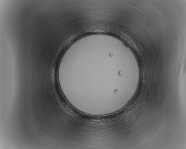 X0000115120538200911241349