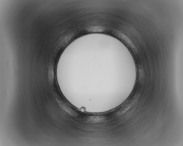 X0000115120541200911241349