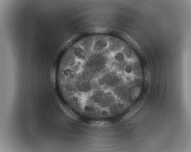 X0000115120542200911241349