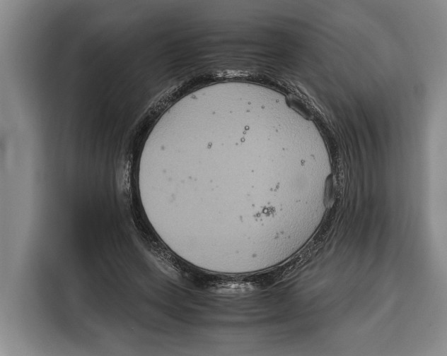 X0000115120543200911241349