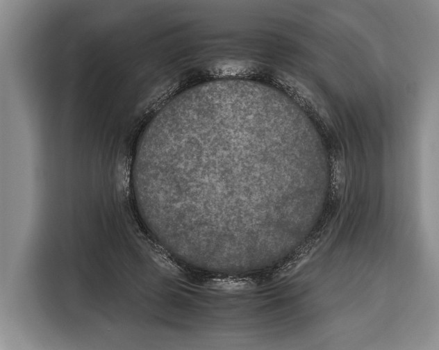 X0000115120545200911241349