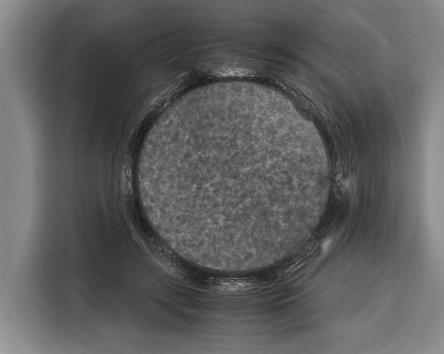 X0000115120547200911241349