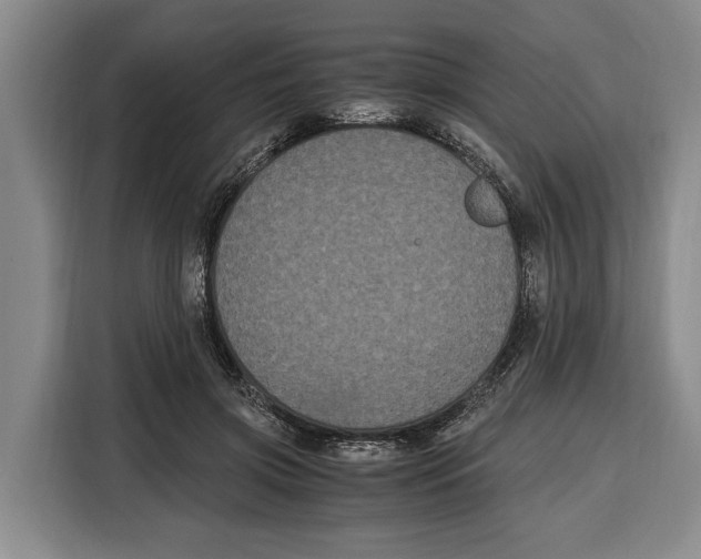 X0000115120549200911241349