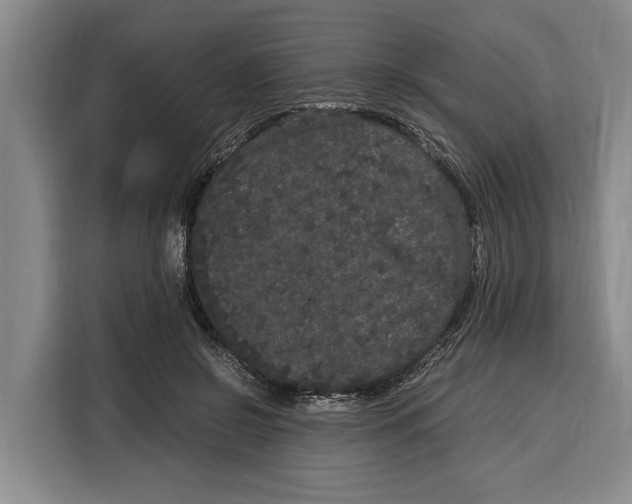 X0000115120550200911241349