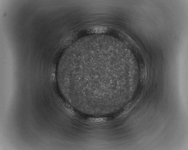 X0000115120553200911241349