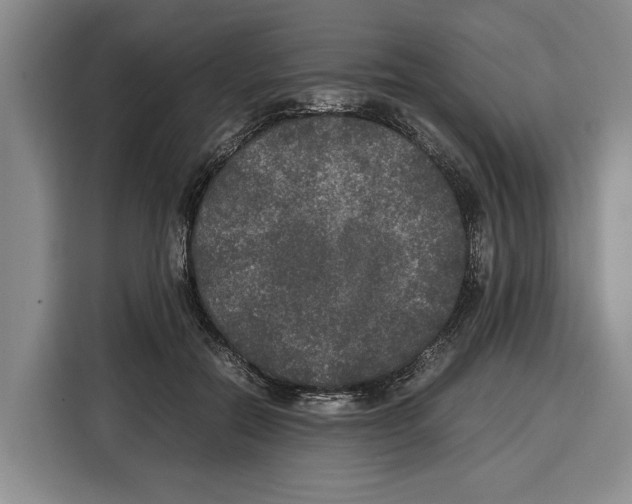 X0000115120554200911241349