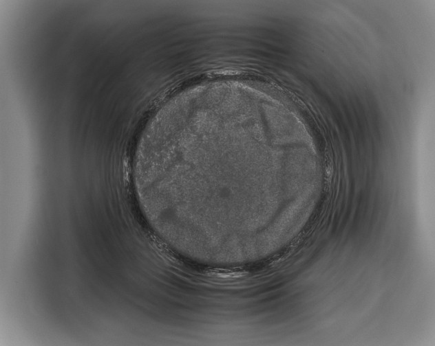 X0000115120555200911241349