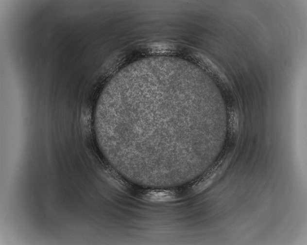 X0000115120557200911241349