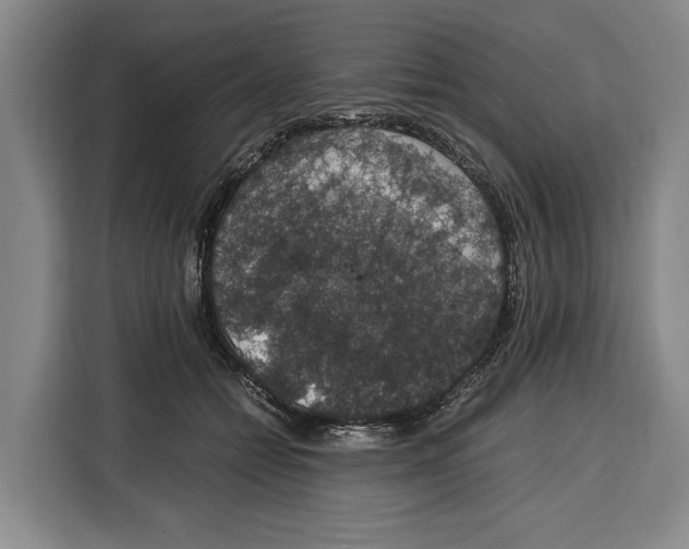 X0000115120558200911241349