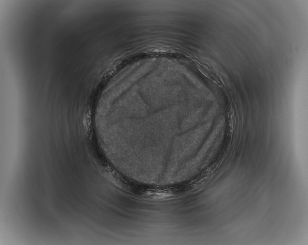 X0000115120559200911241349