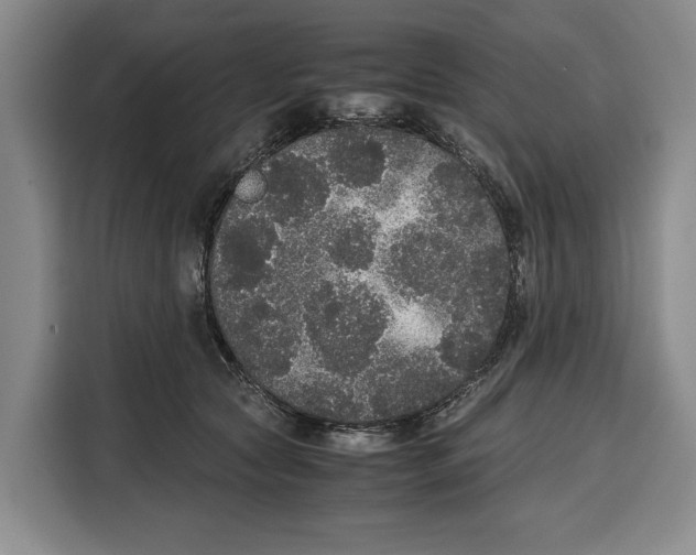 X0000115120561200911241349