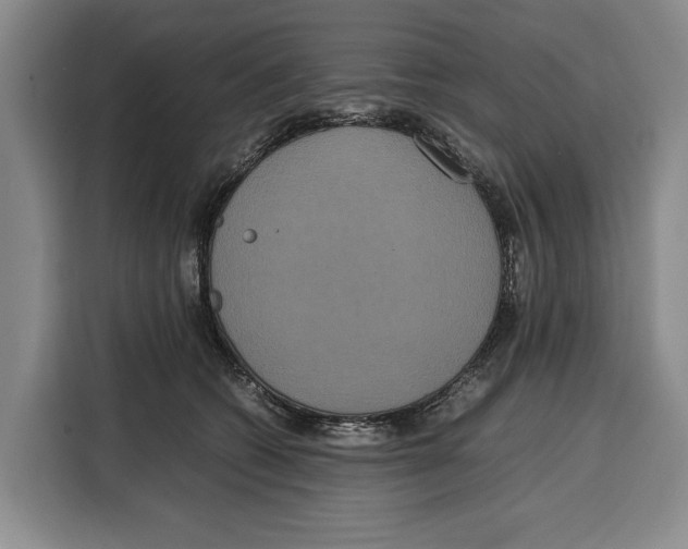 X0000115120562200911241349