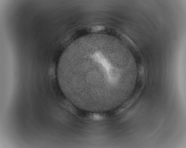 X0000115120565200911241349