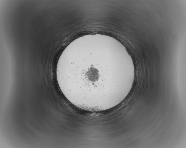 X0000115120566200911241349