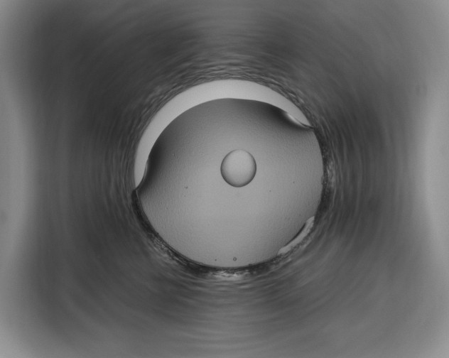 X0000115120570200911241349