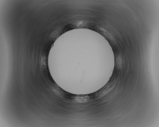 X0000115120571200911241349